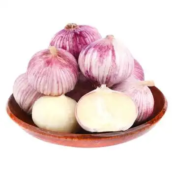 云南大理紫皮独头蒜 新鲜辣湿蒜头瓣蒜农家种植 4斤