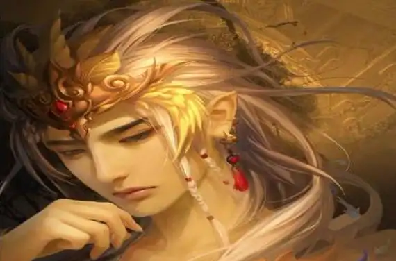 p>高辛少昊,是 a href="#" data-lemmaid="1184197">桐华 /a>《 a