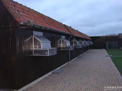 欧洲名家瓦特的鸽舍(图片来源:李秋水的秋)