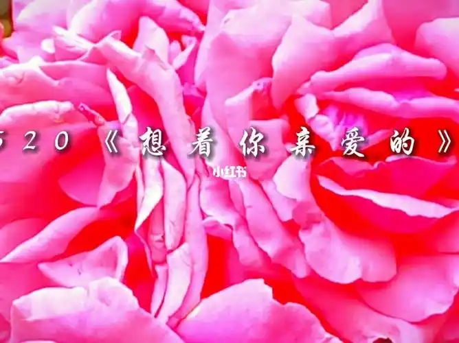 520想着你亲爱的