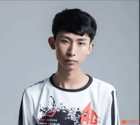 梦泪王者荣耀的职业选手