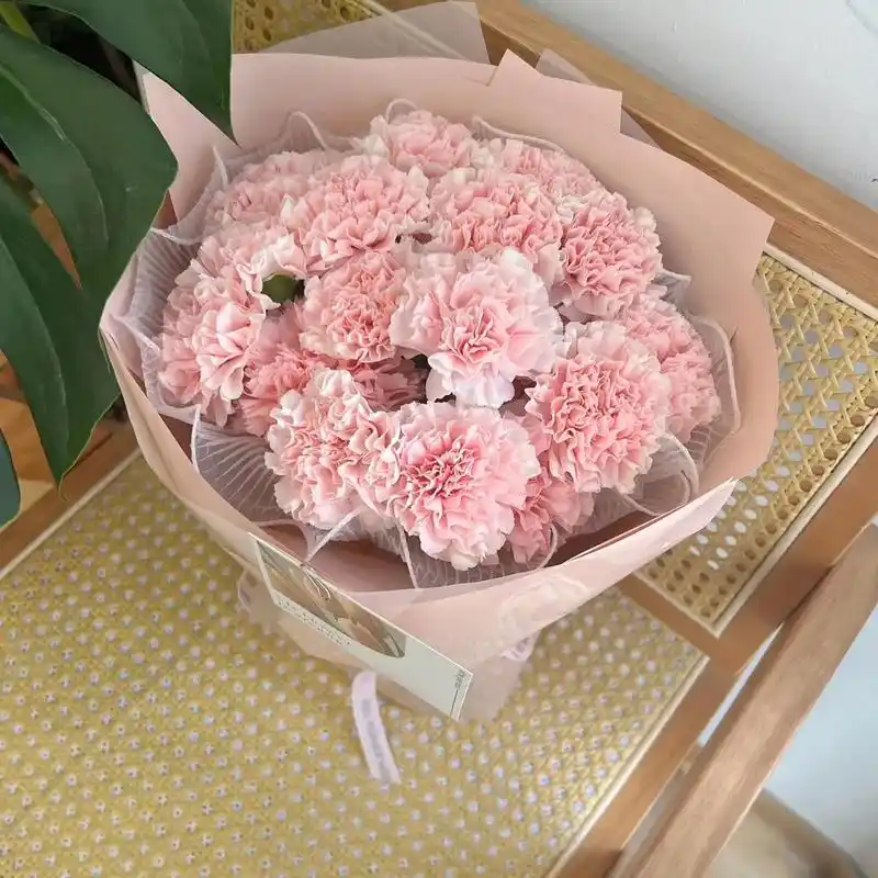 94   母亲节花束6号  规格:粉色康乃馨19支(如图包装 - 抖音