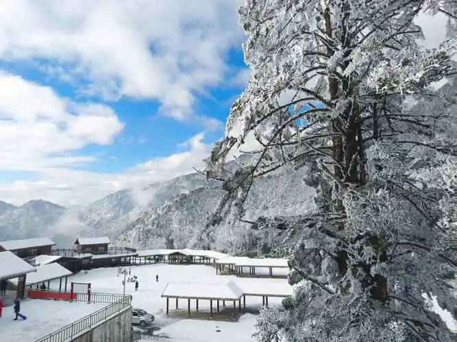 雅安喇叭河两日游