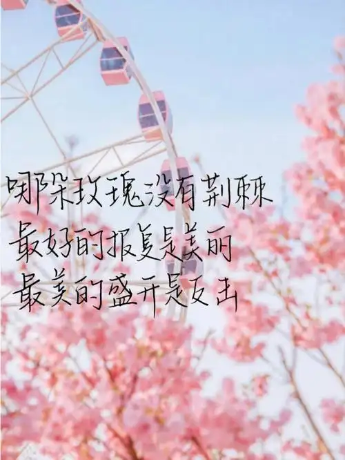 这世界不停开花我想放在你心里一朵