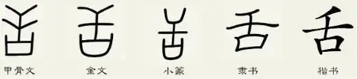 舌字从甲骨文到现代文字的演变过程图