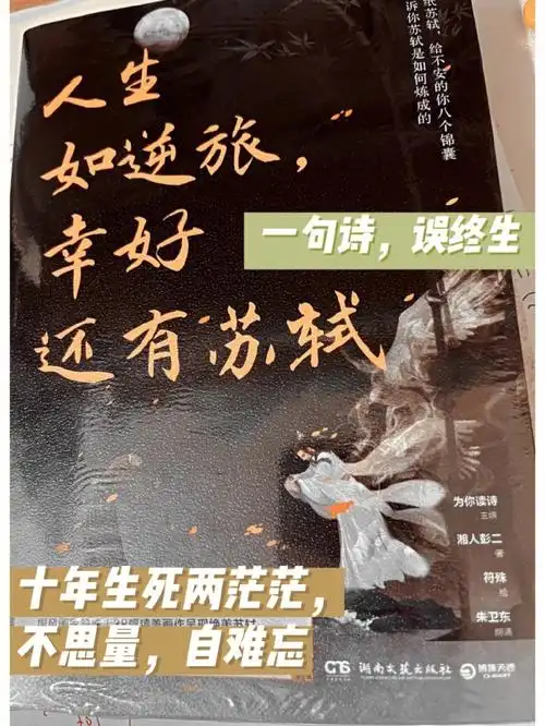 十年生死两茫茫人生如逆旅幸好还有苏轼