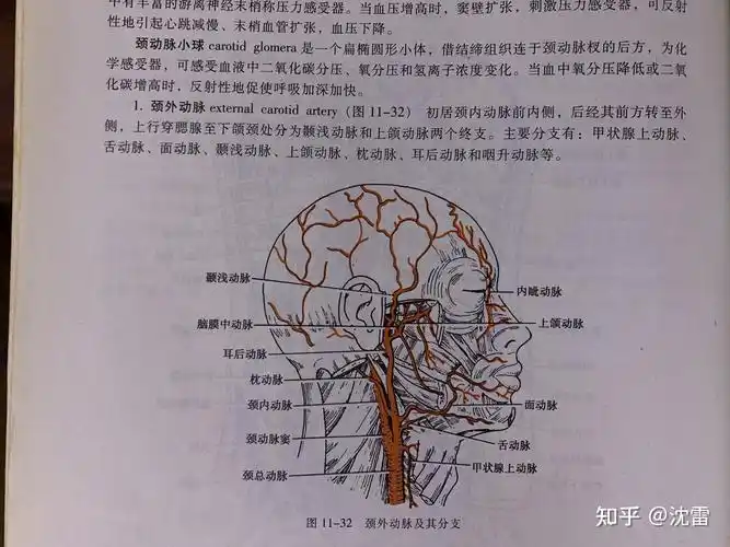 《系统解剖学》  人民卫生出版社曾经不经意间看到专业书籍提到甲状腺
