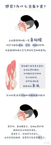 感冒了为什么鼻子一边堵塞一边通气现在终于知道了