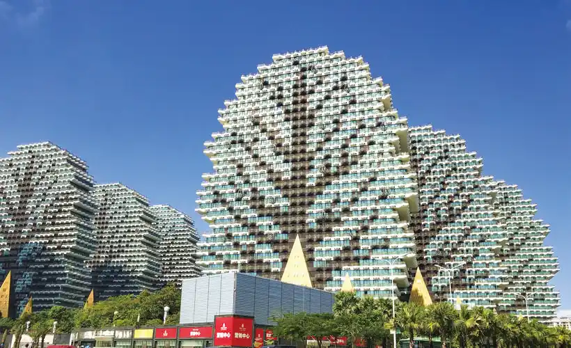 图10 海南三亚美丽之冠大树公馆