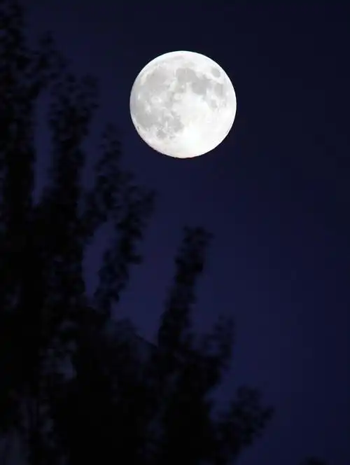 月亮诗句大全唯美句子月亮圆诗句大全唯美句子