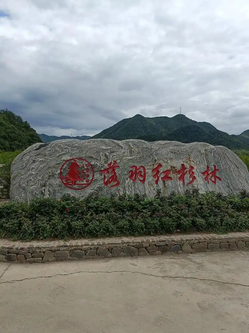 自驾皖南川藏线一路风景如此美好,来到宁国方塘红杉林景点,虽然 - 抖