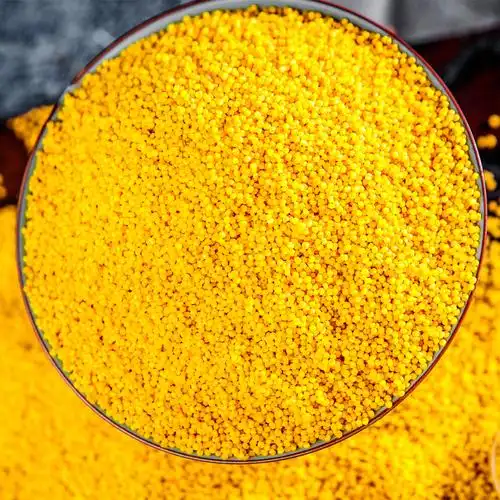 新米小米阳曲5000g十斤装黄米粥小黄米新山西小米