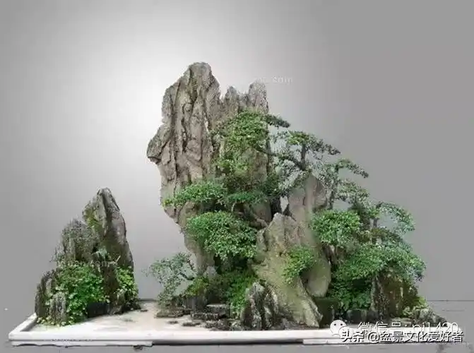 假山盆景(中国山水盆景真是太美了)-第52张图片