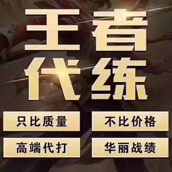 代练王者荣耀排位