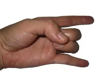 辟邪道家手印,道教辟邪手印