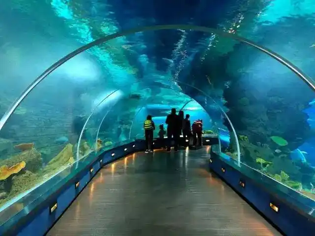 石家庄海洋公园门票买一赠一_海悦天地海洋馆