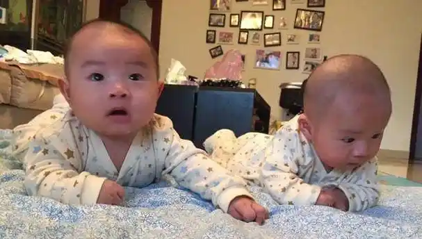 撒贝宁喜得龙凤胎,明星总生双胞胎,尝试这么做你也可以一次抱俩_方法