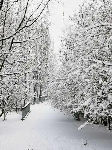 1.3 下雪天,真的很美!