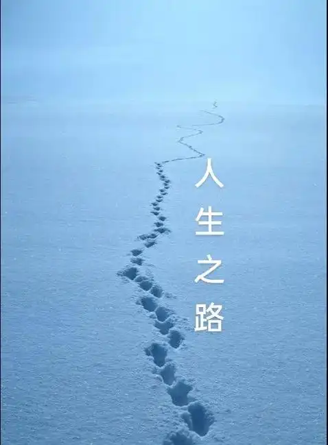 人生的路漫长而曲折,每一个人都有自已的方向与目标.