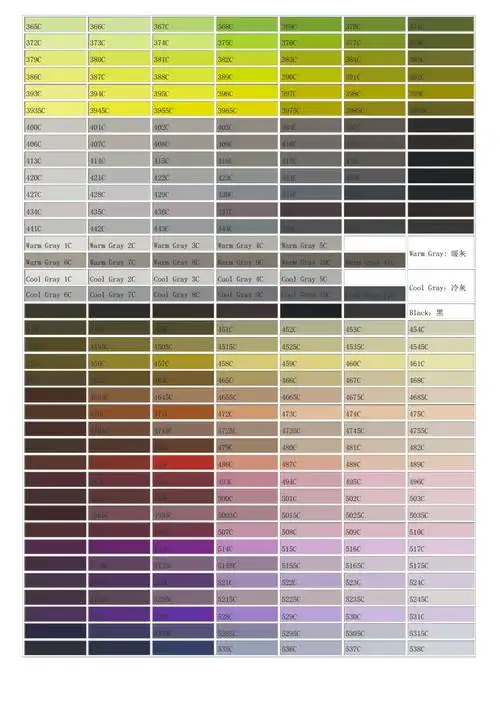 潘通国际色卡c面效果电子版docx5页