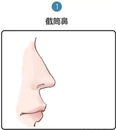 截筒鼻子图片截筒鼻子命好吗