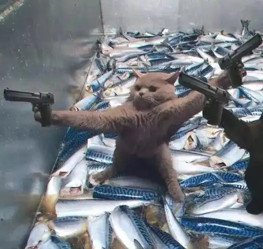 一大波沙雕情侣头像哈哈哈哈哈哈哈哈哈