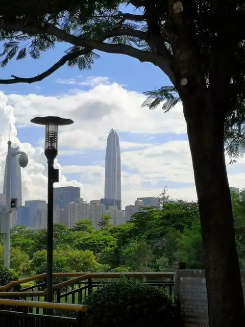 城市风景线 手机摄影:深圳市中心公园