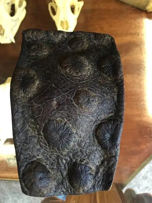 相约新加坡(二)