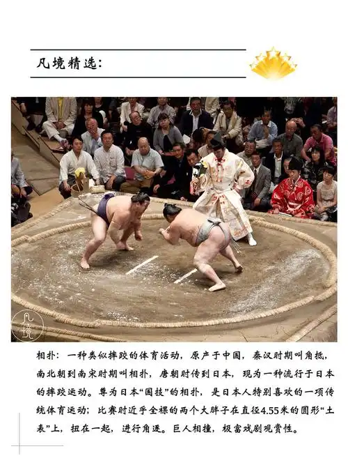 日本东京半日游日本传统国粹浅草相扑表演成吉思汗羊肉便当贴心小甜品