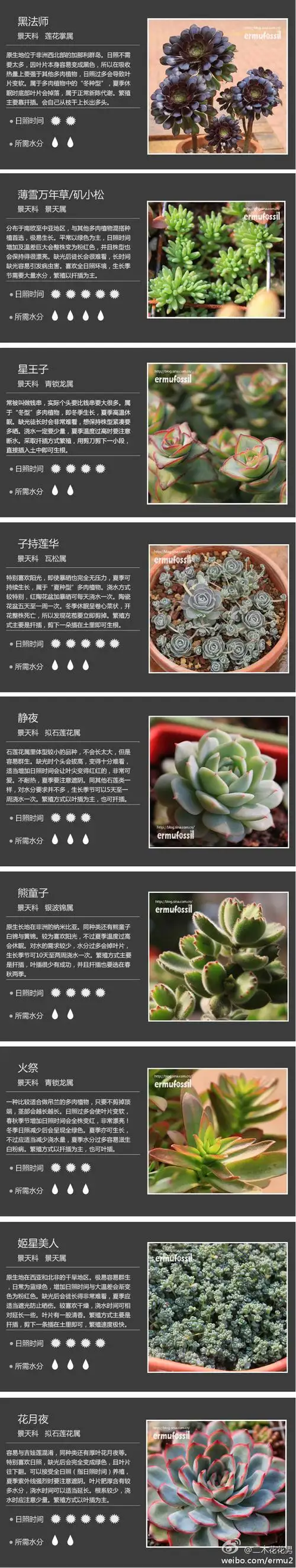 植物,多肉多肉图鉴 来自 二木花花男