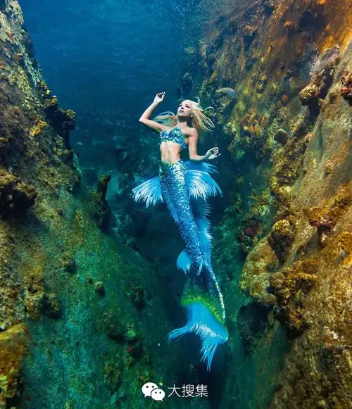 快来看看美人鱼
