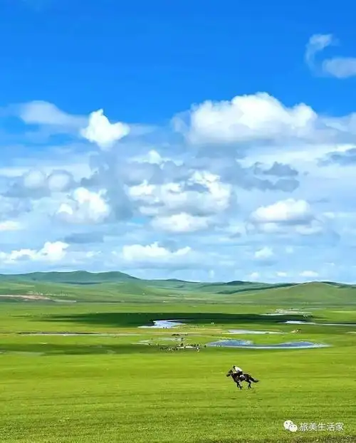 一生必去大草原!神奇的蒙古高原,祖国的塞北屏障