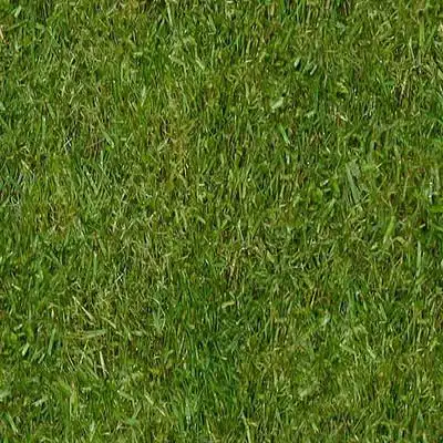 植物贴图素材专辑