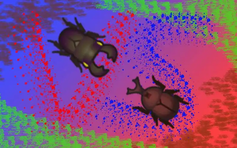 锹形虫大战独角仙!