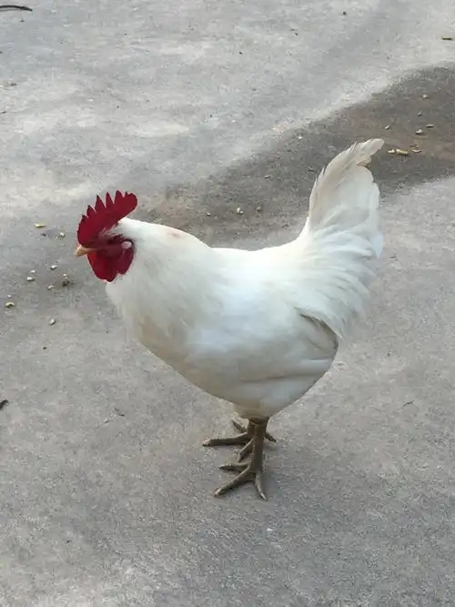 巍峨的大工山,我们来了!