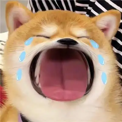 逗比搞笑的独一无二超搞怪情头