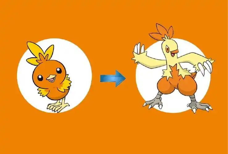 进化为力壮鸡后,双腿变成了有力的爪子,而且有了厉害的双臂.