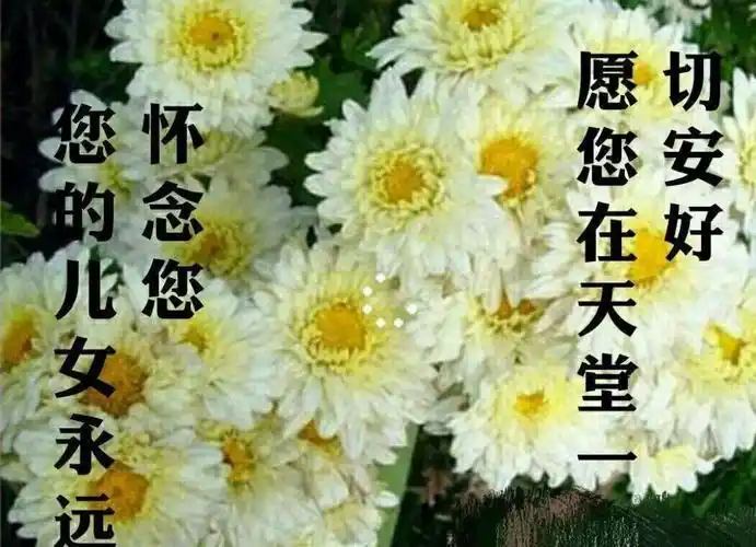 纪念父亲诞辰90周年