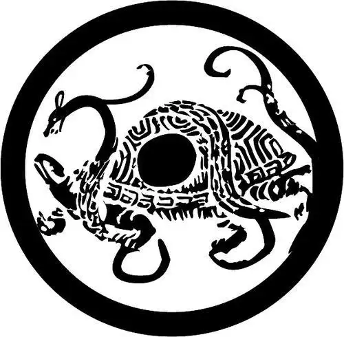 玄武青龙朱雀白虎四象由来