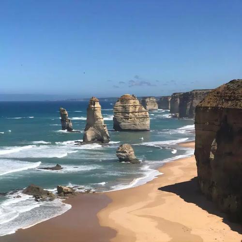 melbourne 大洋路超深度一日游(最美公路 天天出发 经典必玩)