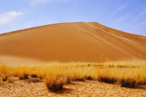 2020年秋青甘内蒙大环游——沙漠篇