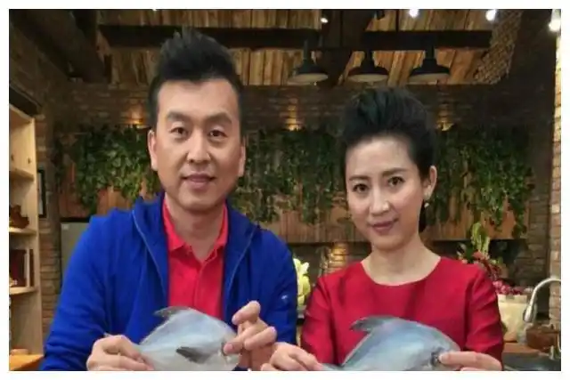 9次登春晚,被观众称为"央视一哥"的张泽群,下跪求婚董卿却失败