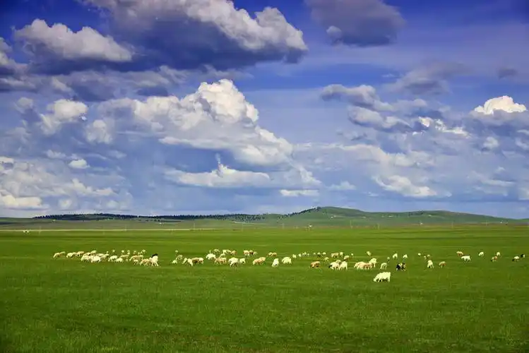 【旅游纪实图片 美丽的内蒙古>(16)-结束篇-草原 牧人 马牛羊之 呼伦