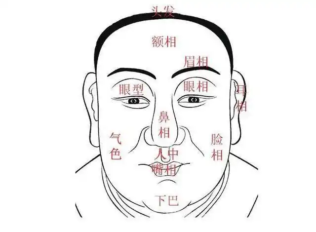 额头有这几种特征的人,必定大富大贵,富得流油