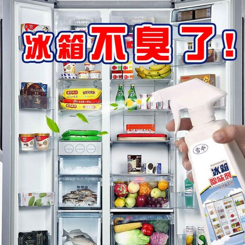 雪伞冰箱除味剂除臭剂清洁剂家用除异味去味清洗清新剂去油污神器