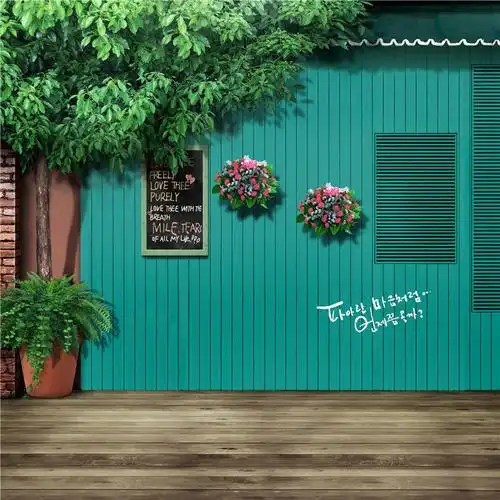 益丽丝风景背景布主播背景布直播背景布快手背景布视频背景布摄影背景