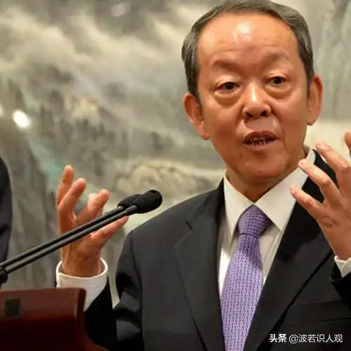 杨洁箎外交对话(外交王者杨洁篪)(2)