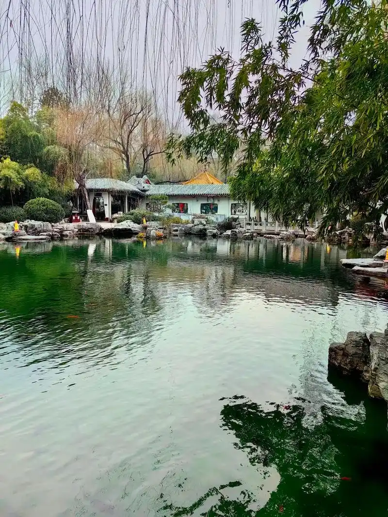 美在其中,游趵突泉(28) 趵突泉,济南三大名胜之一,位于山 - 抖音