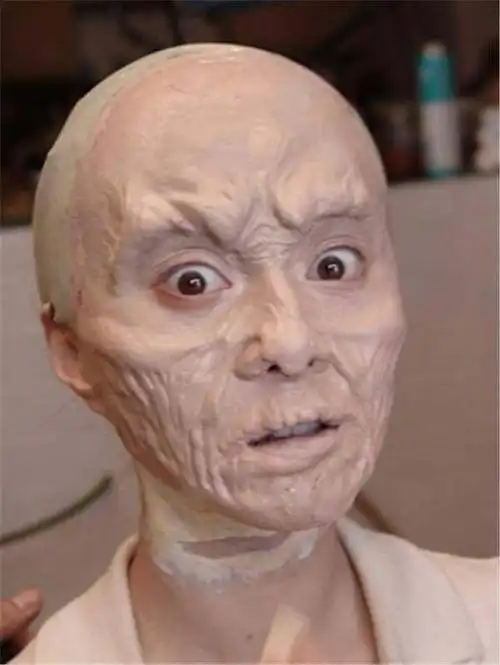 章子怡的长相一直都没变(章子怡光头造型被丑哭)(22)