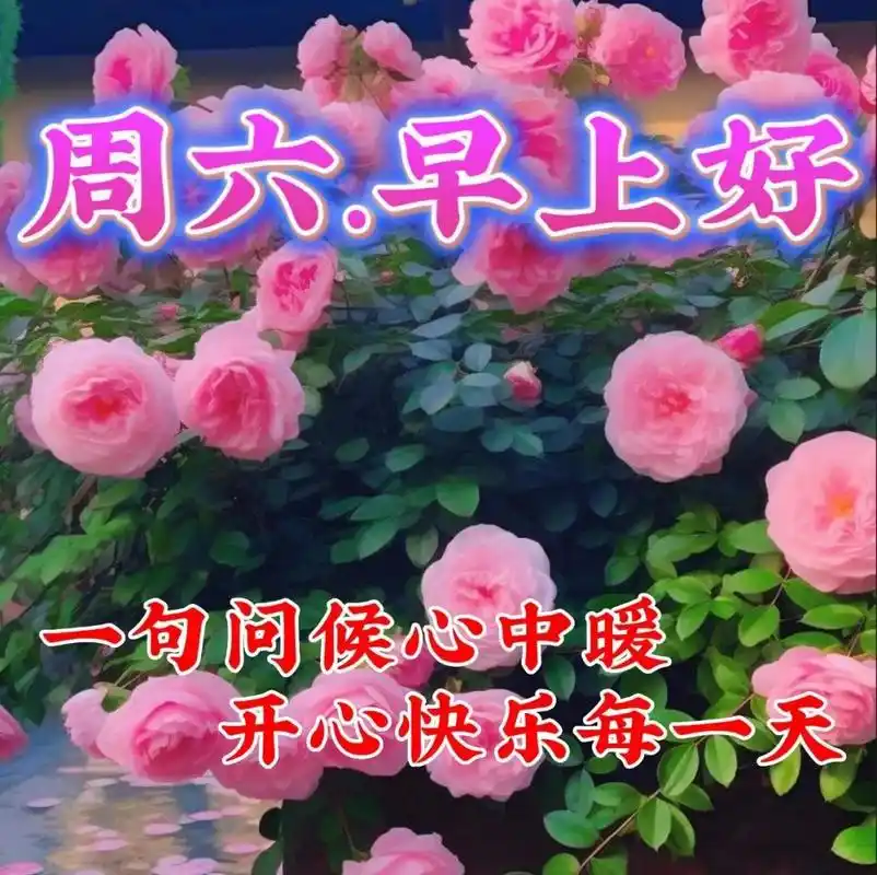 7月29日周六早上好周末早安好看祝福语图片